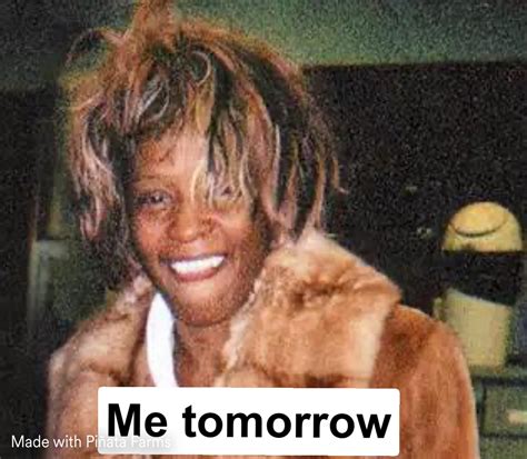 whitney houston meme|Iba pa.